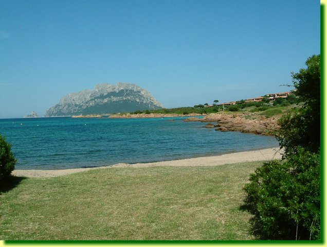 DSCF0208.JPG
