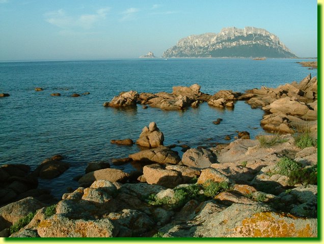 DSCF0223.JPG