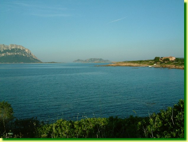 DSCF0225.JPG
