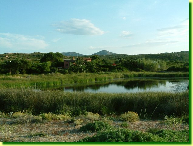 DSCF0229.JPG