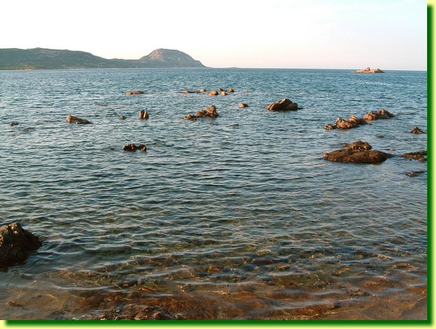 DSCF0231.JPG