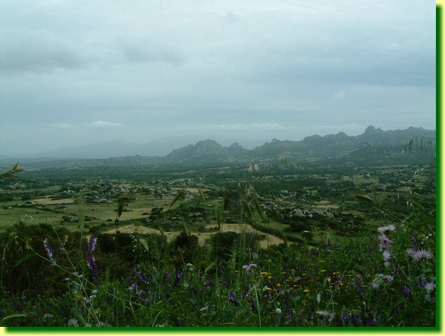 DSCF0250.JPG