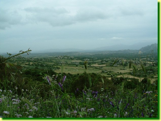 DSCF0251.JPG