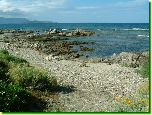 DSCF0350.JPG
