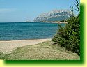 DSCF0207.JPG