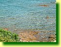 DSCF0210.JPG
