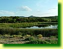 DSCF0229.JPG