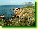 DSCF0230.JPG