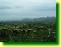 DSCF0250.JPG