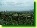 DSCF0251.JPG