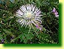 DSCF0257.JPG