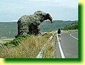 DSCF0266.JPG