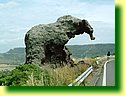 DSCF0268.JPG
