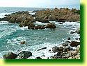 DSCF0278.JPG