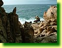 DSCF0286.JPG
