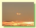 DSCF6100.JPG