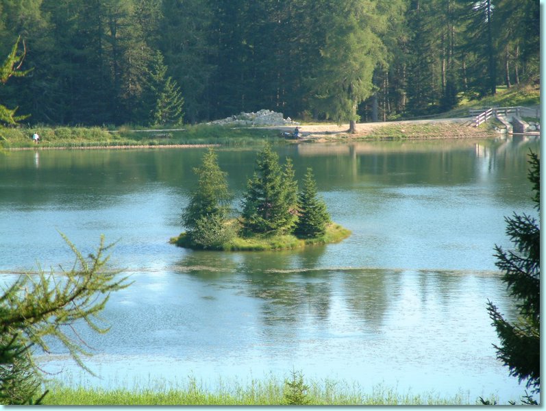 DSCF0224.JPG