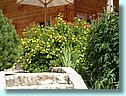 DSCF0205.JPG