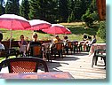 DSCF0206.JPG