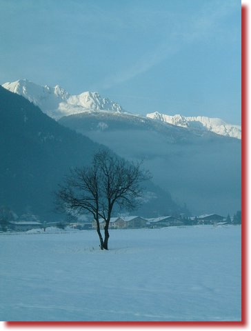 DSCF0065.JPG