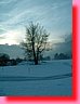 DSCF0066.JPG