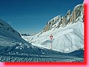 DSCF0111.JPG