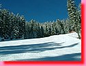 DSCF0114.JPG
