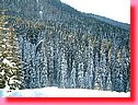 DSCF0226.JPG