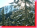 DSCF0228.JPG