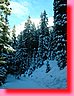 DSCF0229.JPG