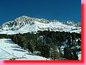 DSCF0230.JPG