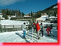 DSCF0231.JPG