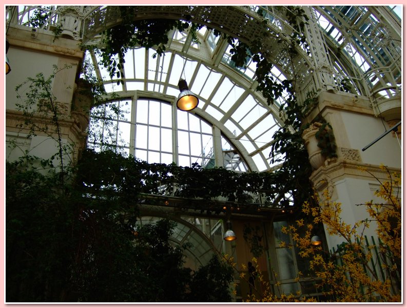 DSCF2591.JPG