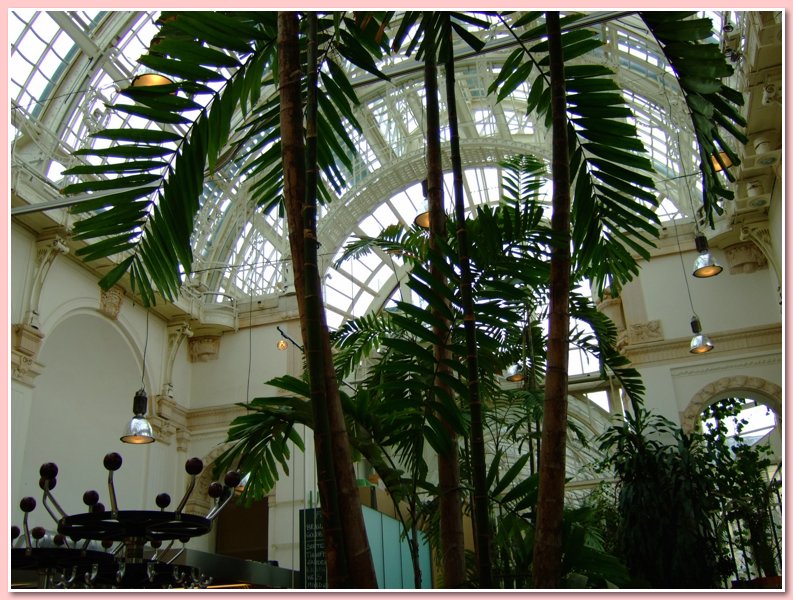 DSCF2593.JPG