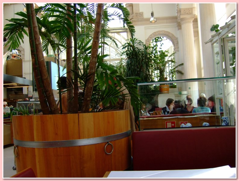 DSCF2599.JPG