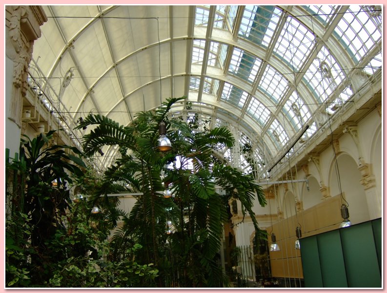 DSCF2602.JPG
