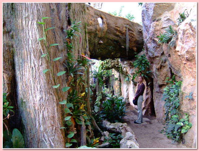 DSCF2613.JPG