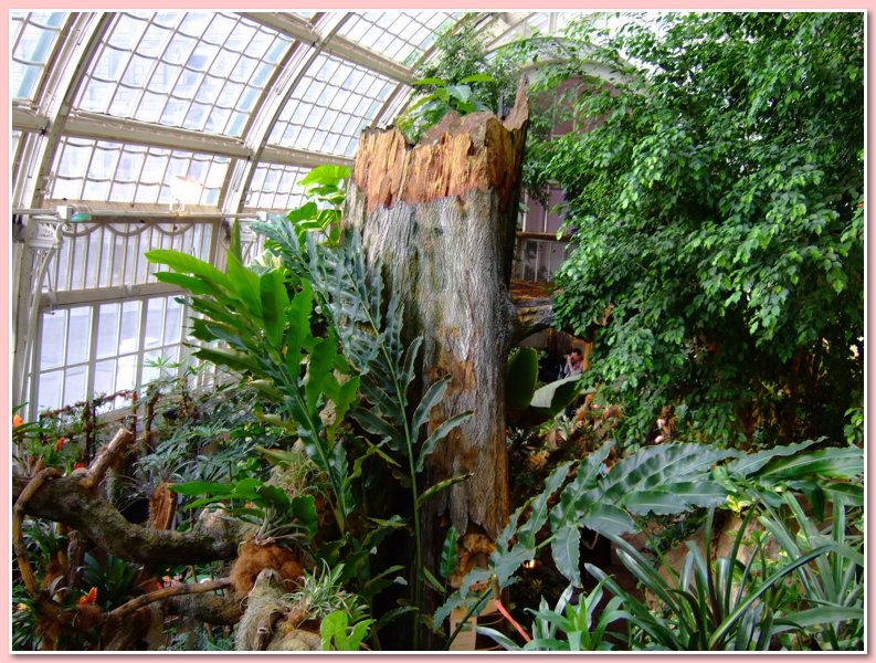 DSCF2615.JPG