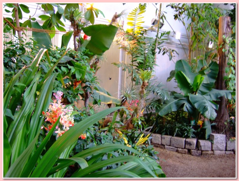 DSCF2633.JPG
