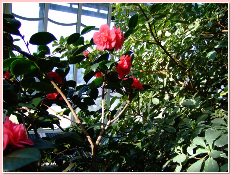 DSCF2740.JPG