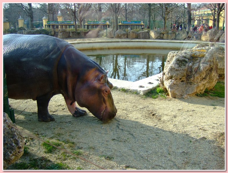 DSCF2767.JPG