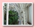 DSCF2600.JPG