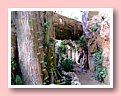 DSCF2613.JPG