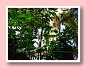DSCF2738.JPG