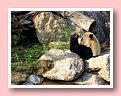 DSCF2761.JPG